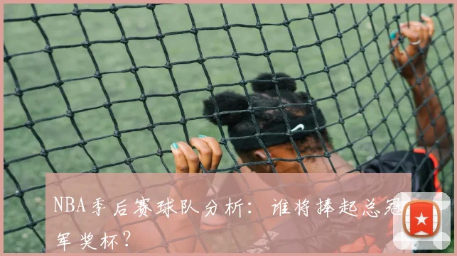 NBA季后赛球队分析:谁将捧起总冠军奖杯?