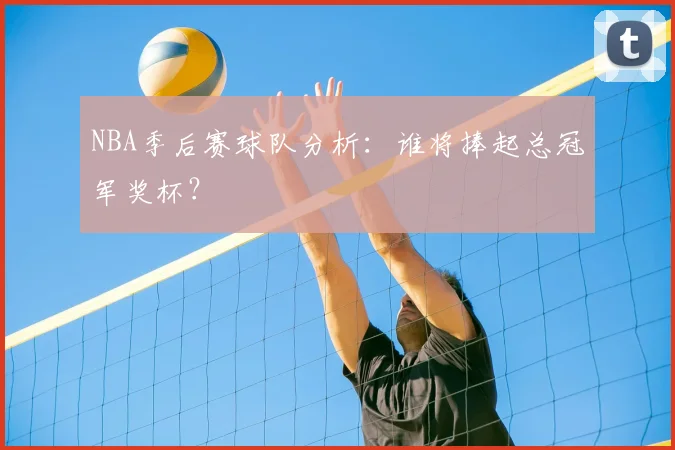 NBA季后赛球队分析：谁将捧起总冠军奖杯？